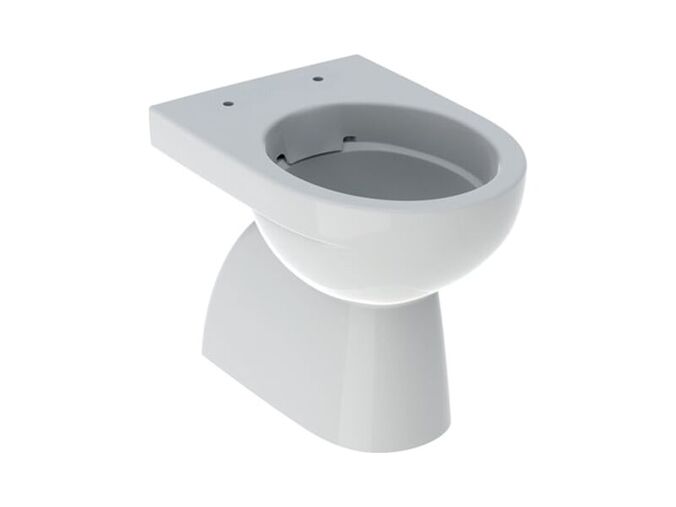 Geberit Selnova stojící WC 54x35,5 cm, svislý odpad, Rimfree, bílá