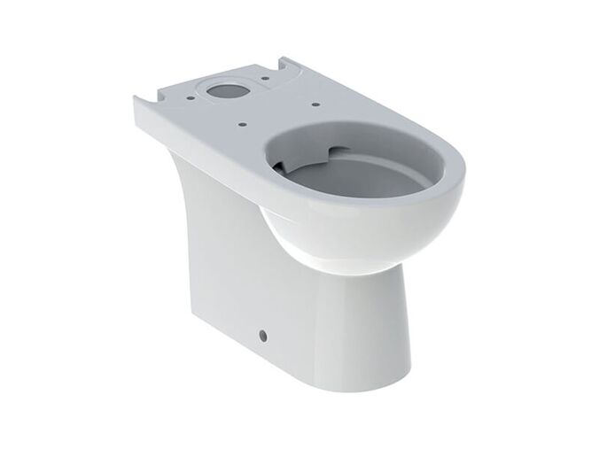 Geberit Selnova stojící WC kombi 66x35,5 cm, vario odpad, Rimfree, bílá